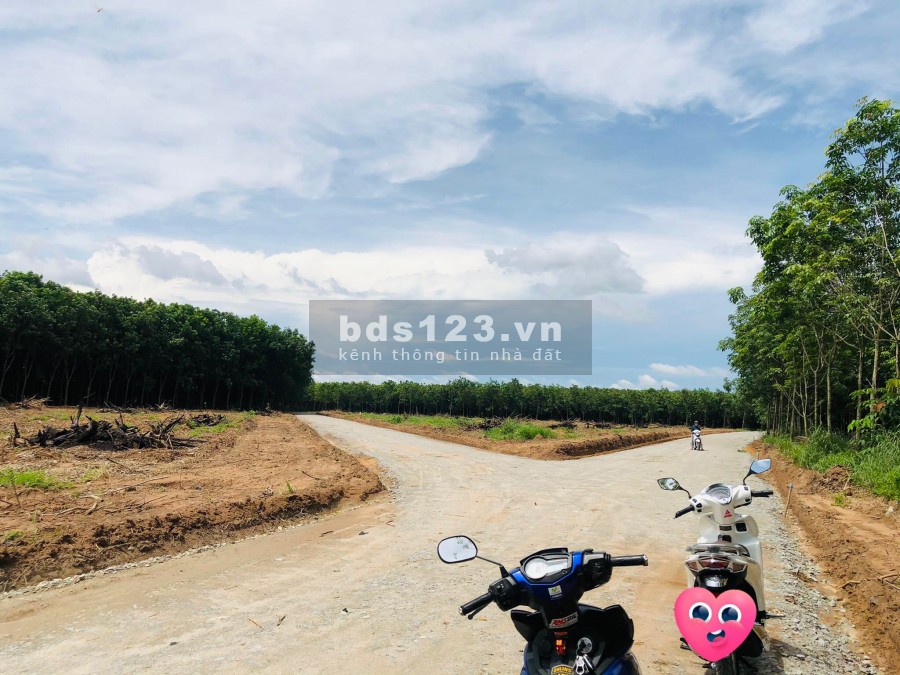 Bán đất nền giá rẻ gần khu công nghiệp Bến Cát Bình Dương sổ sẵn