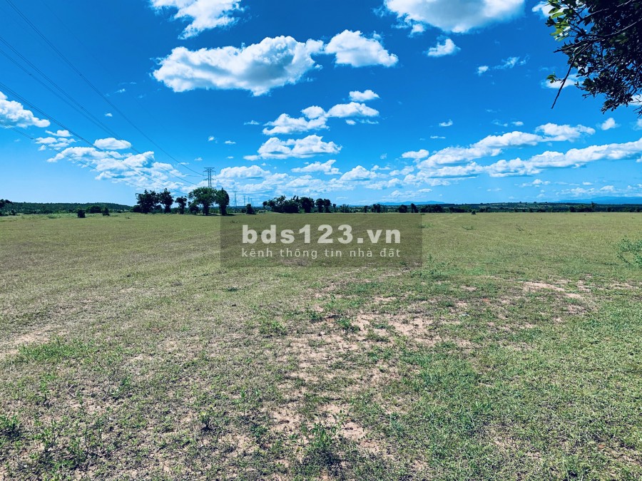 Cần bán 4144m2 xã Bình Tân, Bình Thuận cạnh bên Safari, đi DT716 vào thẳng đất, sổ đỏ riêng