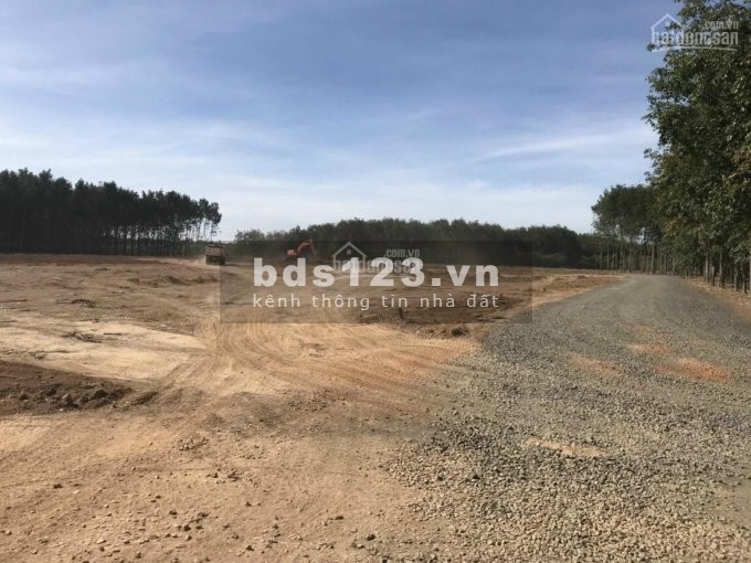 Bán gấp lô đất sào 1077m2 gần khu công nghiệp Becamex, lh 0962293073