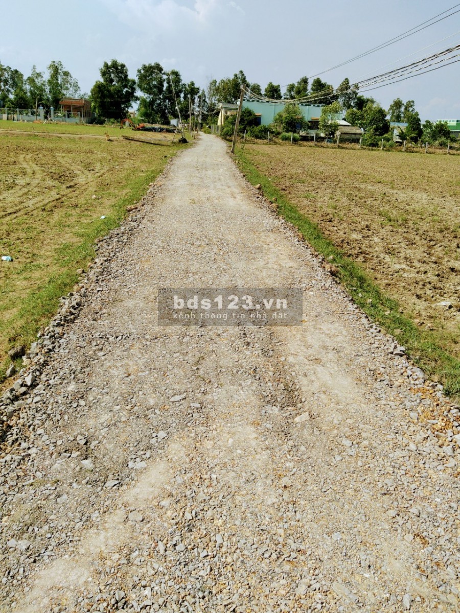 BÁN ĐẤT RUỘNG MẶT TIỀN ĐƯỜNG XE OTo GẦN SÔNG VÀM CỎ