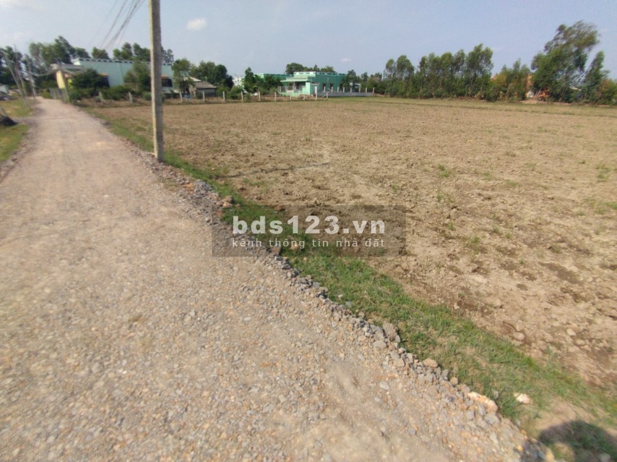 BÁN ĐẤT RUỘNG MẶT TIỀN ĐƯỜNG XE OTo GẦN SÔNG VÀM CỎ