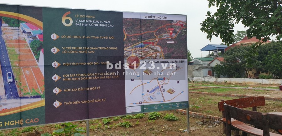 51 lô Tân Xã đang mở bán cho các nhà đầu tư giá chỉ trên dưới 1 tỷ