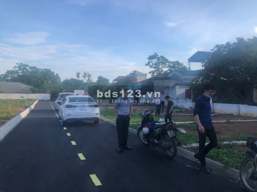 51 lô Tân Xã đang mở bán cho các nhà đầu tư giá chỉ trên dưới 1 tỷ
