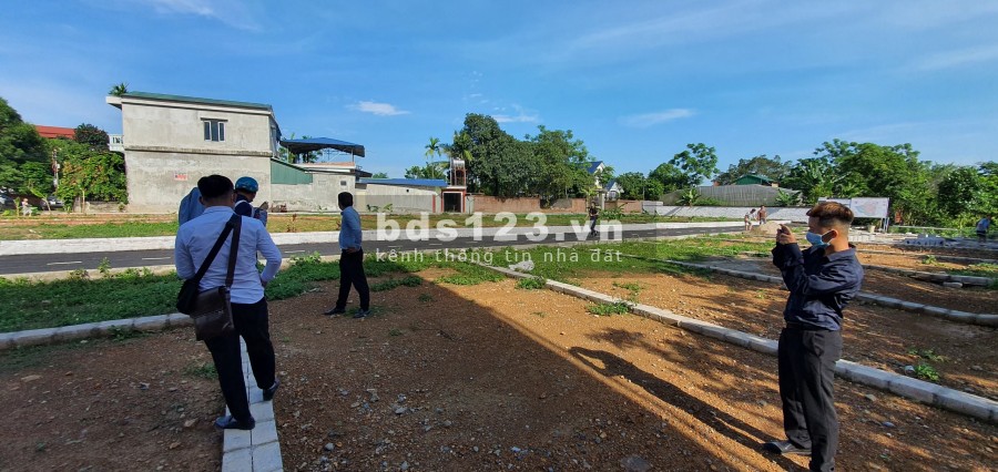 51 lô Tân Xã đang mở bán cho các nhà đầu tư giá chỉ trên dưới 1 tỷ