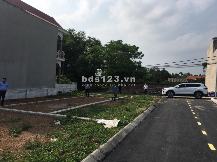 51 lô Tân Xã đang mở bán cho các nhà đầu tư giá chỉ trên dưới 1 tỷ