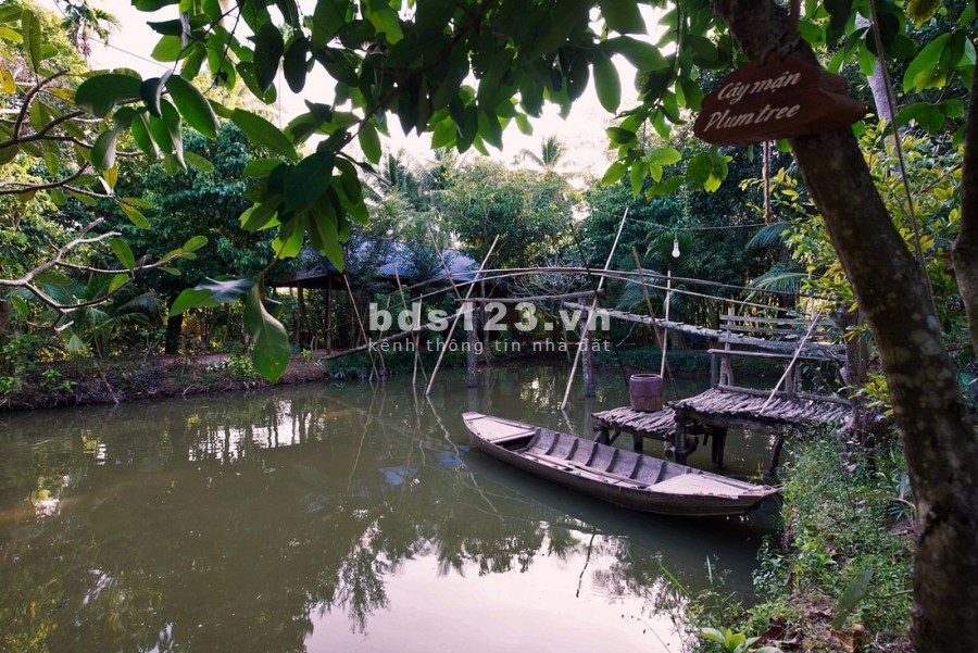 Đất nền Biệt thự khu nghĩ dưỡng Quới Sơn Bến Tre giá cực tốt