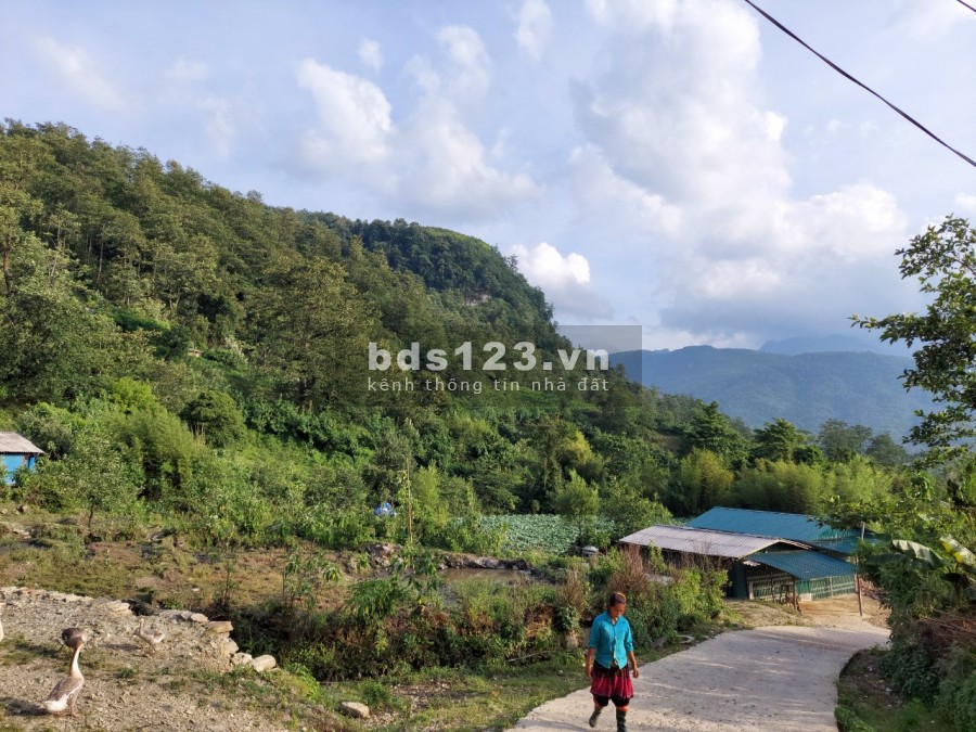 Cơ hội chẳng đến lần 2, mảnh đất 1900m2 đẹp nhất Y Tý có sổ đỏ rõ ràng