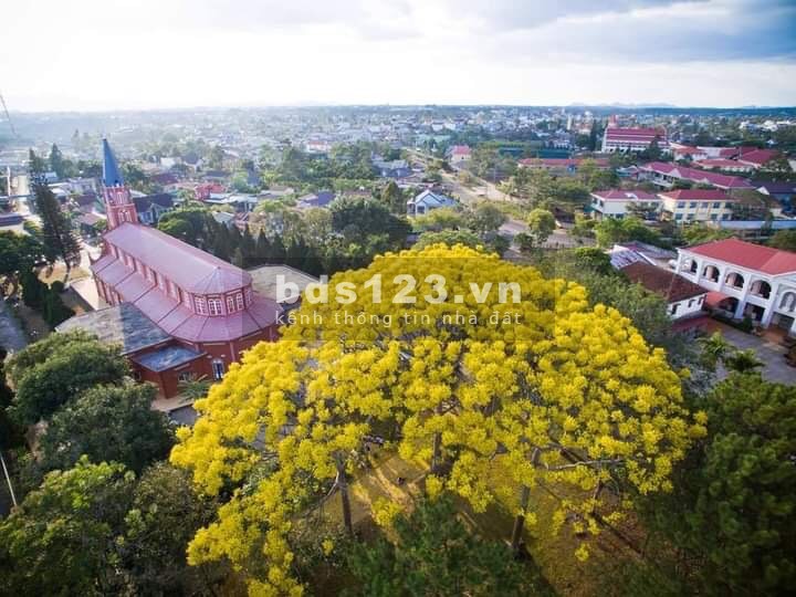 Tài chính đang kẹt bán gấp lô đất thổ cư 300m2 trung tâm TP Bảo Lộc