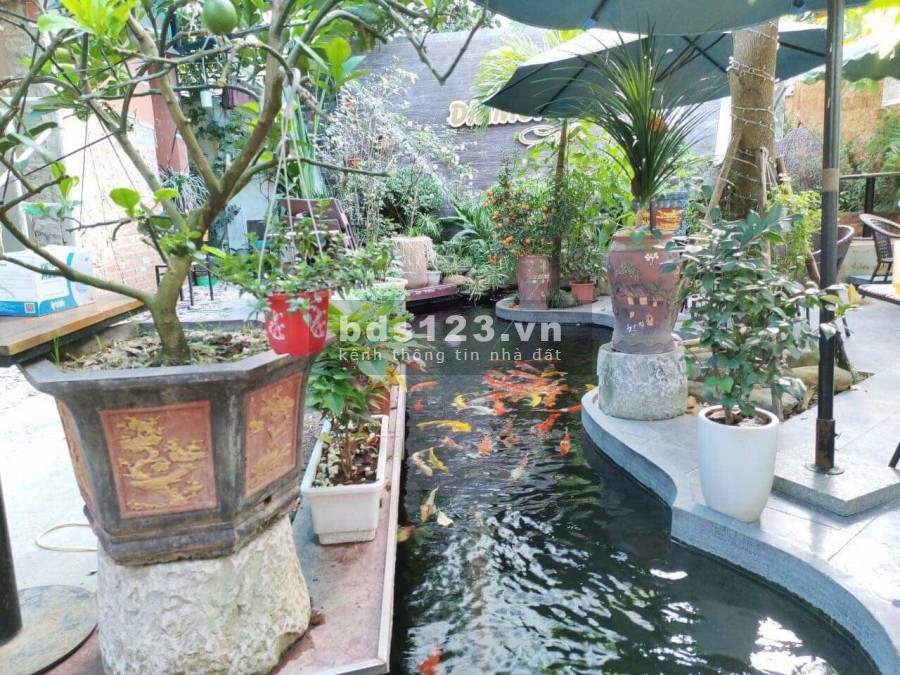 Biệt thự đơn lặp Đặng Xá, Gia Lâm lô góc vị trí tuyệt đẹp, dt 308m x 3 tầng x mặt tiền 30m