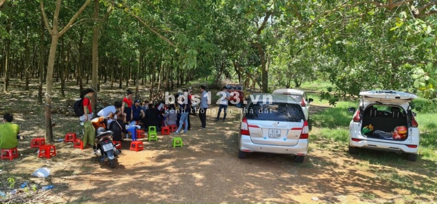 Bán gấp đất Becamex Đồng Phú Bình Phước, dự án đắc địa, giá 450 triệu