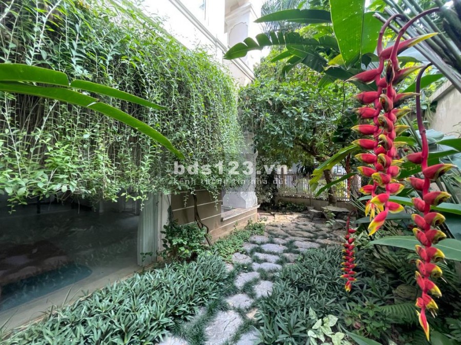 Cho thuê biệt thự T3 Ciputra, diện tích rộng, không gian hòa hợp với thiên nhiên, giá có fix sâu.