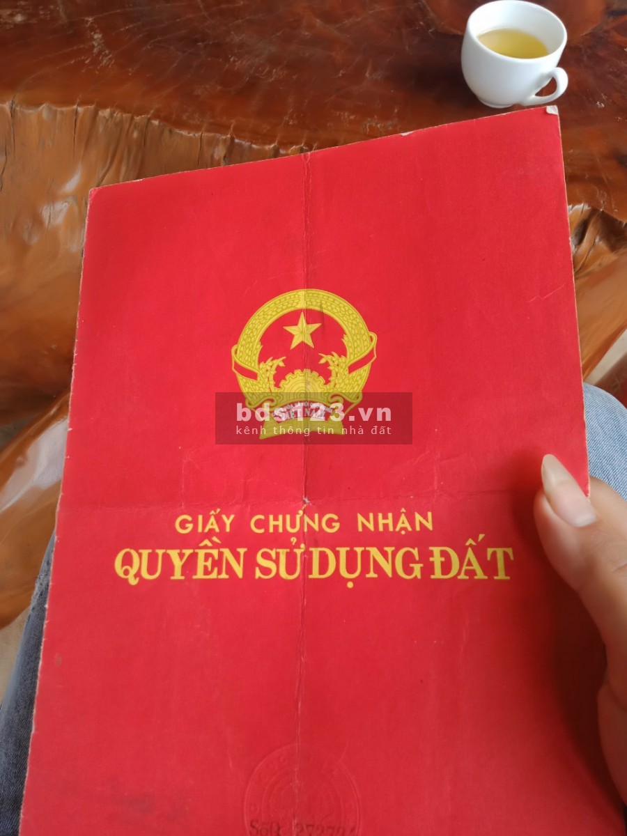Cần bán gấp 2ha đất ở Xuân Nha Vân Hồ Sơn La, giá 800 triệu