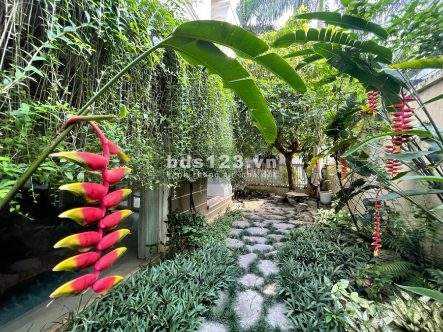 Cho thuê biệt thự T3 Ciputra, diện tích rộng, không gian hòa hợp với thiên nhiên, giá có fix sâu.