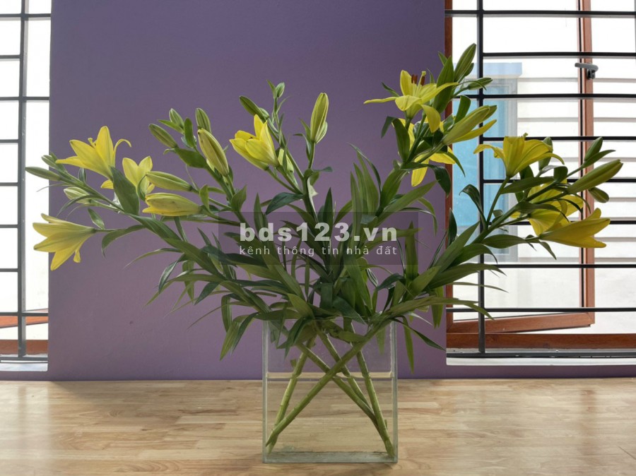 Chính chủ cần cho thuê biệt thự làm văn phòng tại KĐT Nam Cường, Dương Nội, Hà Đông