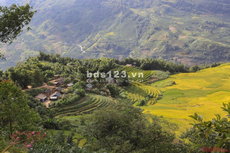 Bán mảnh đất Y Tý đẹp như hoa hậu ( Sapa 2) View ruộng bậc thang và rừng già đẹp xuất sắc