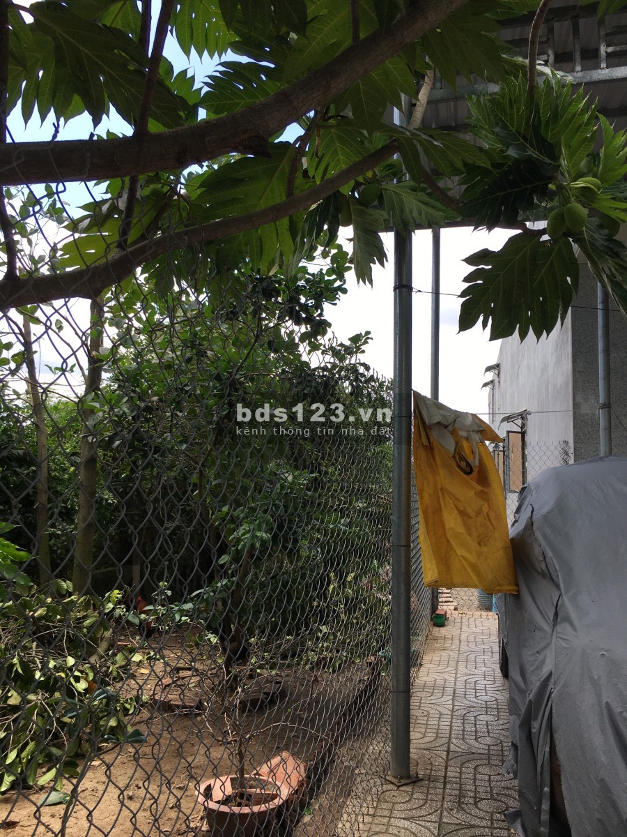 Chính chủ bán lô đất đẹp 568m2 tặng nhà Cần Giuộc, giá bán 7.9 tỷ