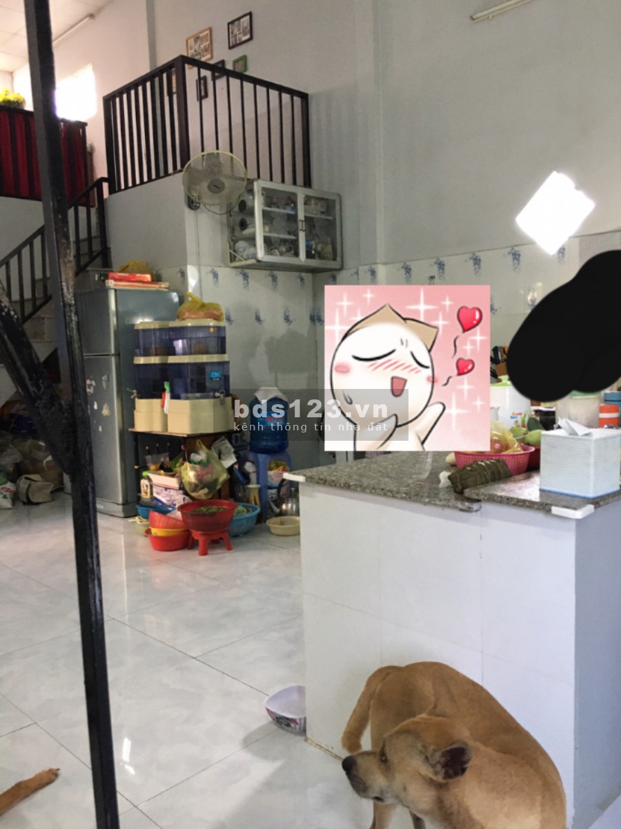 Chính chủ bán lô đất đẹp 568m2 tặng nhà Cần Giuộc, giá bán 7.9 tỷ