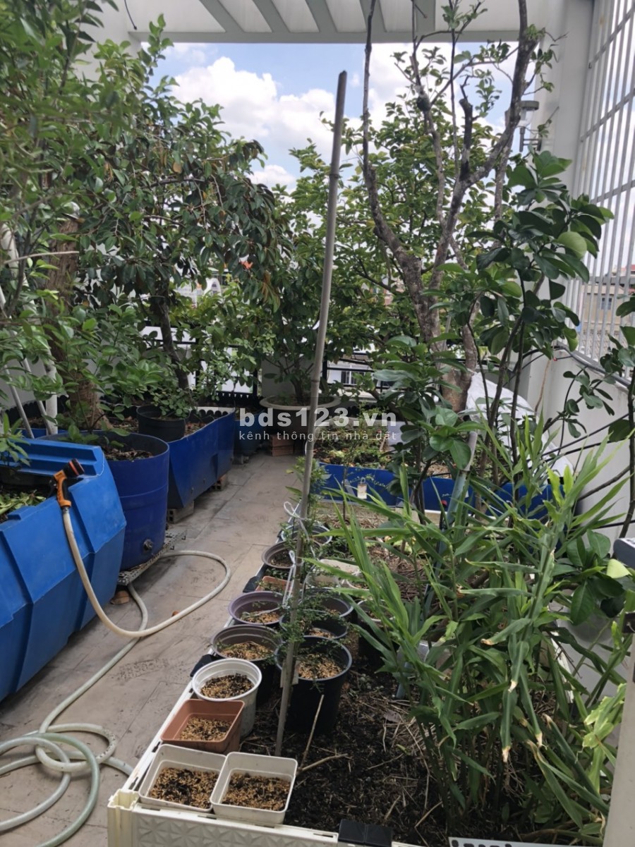 Bán nhà 1Trệt 1 Lững 2 Lầu Sth MT Chợ Rạch Ông Phường 2 Quận 8