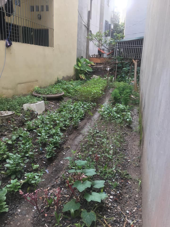 Bán đất Hồ Tùng Mậu, 54m, gần phố phân lô, ô tô vào, giá 4.25 tỷ