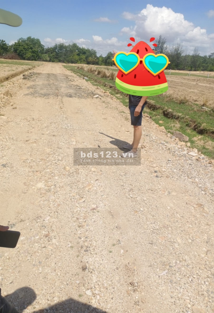Bán đất Bình Thuận ngay cung đường đẹp Bàu Trắng, dt 2450m2