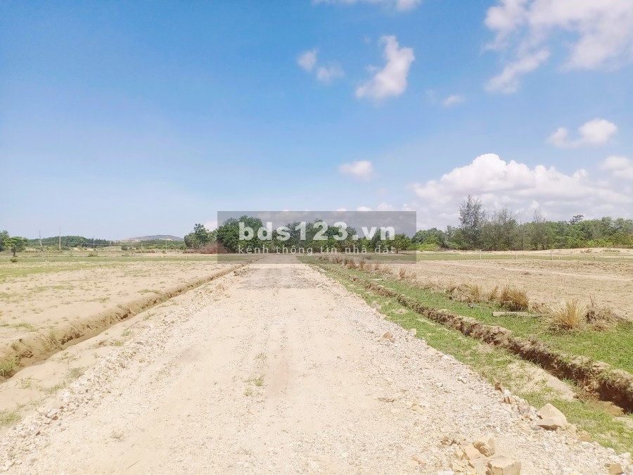 Bán đất Bình Thuận ngay cung đường đẹp Bàu Trắng, dt 2450m2