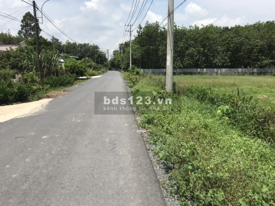 Đất vườn Củ Chi TL7 giá rẻ 600m2 giá 1ty1 Thương Lượng, SHR công chứng sang tên ngay