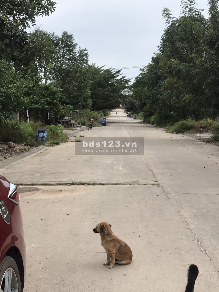 Chính chủ cần bán gấp lô đất kề kcn chợ tp, dân đông đường buôn bán