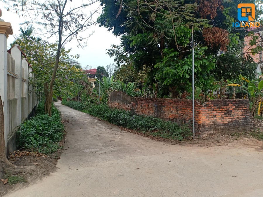 Chính chủ bán 730m2 đất thôn Cộng Hòa, xã Phù Ninh, giá 8 triệu/m2