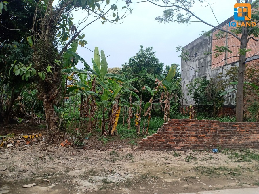 Chính chủ bán 730m2 đất thôn Cộng Hòa, xã Phù Ninh, giá 8 triệu/m2