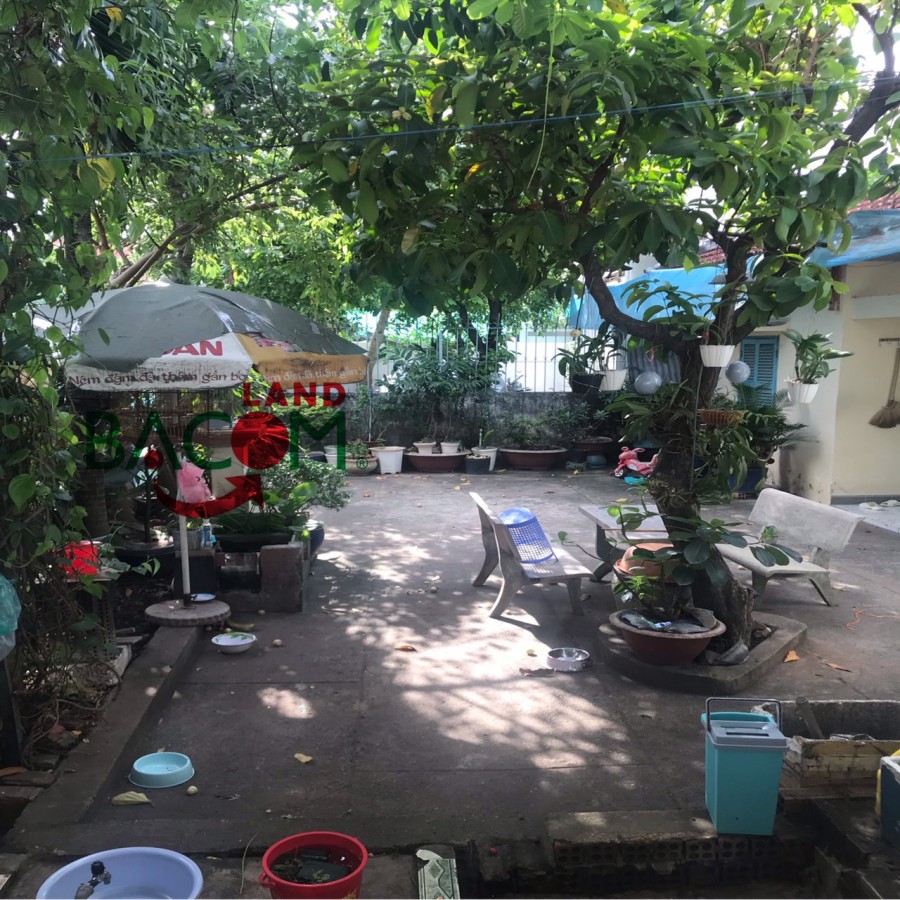 Bán nhà lô góc 2 mặt tiền Đường Hồ Hoà, DT 253m SHR full thổ cư. P . Tân phong. Giá 13,5 tỷ