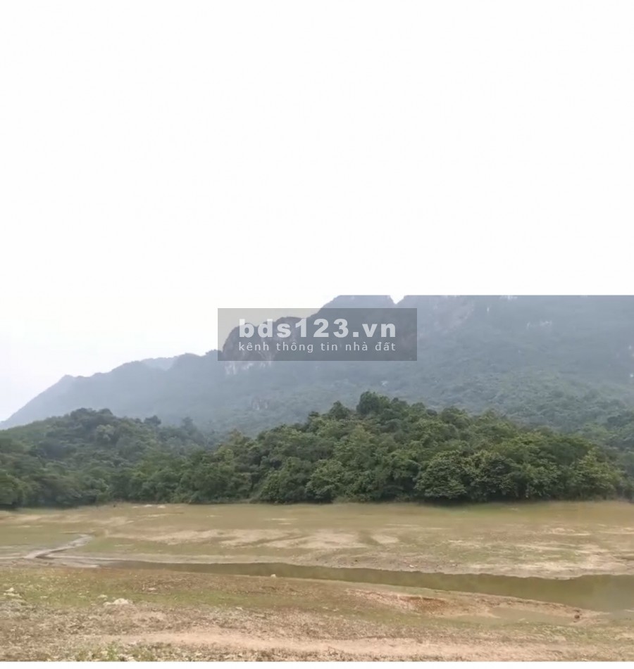 Chính chủ nhờ bán 60ha đất rưng sản xuất ở Lạc Thủy Hòa Bình
