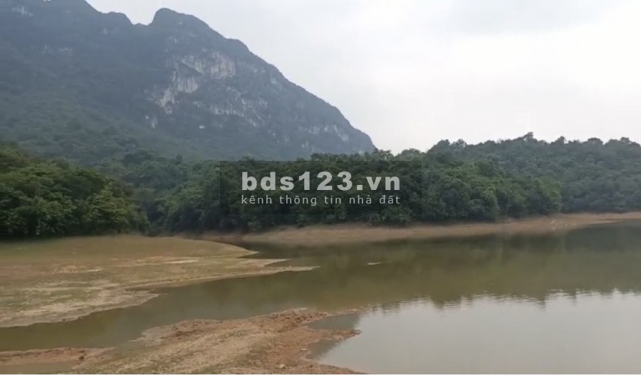 Chính chủ nhờ bán 60ha đất rưng sản xuất ở Lạc Thủy Hòa Bình