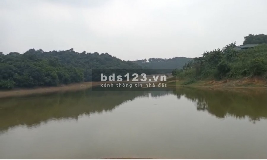Chính chủ nhờ bán 60ha đất rưng sản xuất ở Lạc Thủy Hòa Bình
