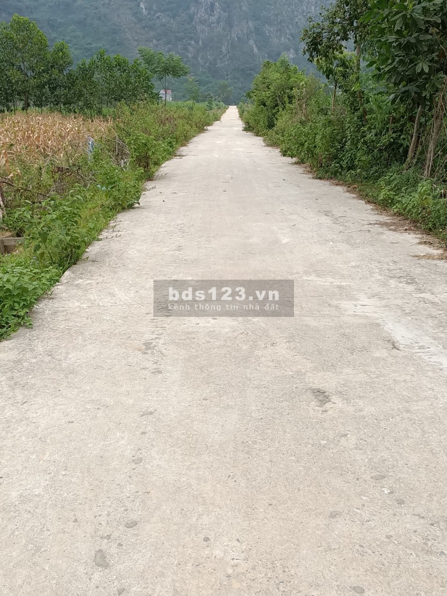 Chính chủ nhờ bán 60ha đất rưng sản xuất ở Lạc Thủy Hòa Bình