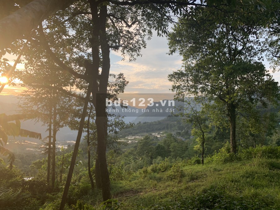 Bán đất Y Tý view siêu đẹp thoáng, giáp ranh công viên Văn hóa thôn Lao Chải cực đỉnh