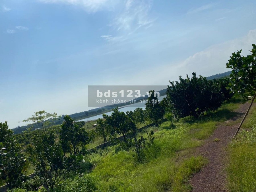 Bán 3ha view Hồ Trị An Vĩnh Cửu giá bán 18 tỷ, sổ chính chủ, pháp lí rõ ràng