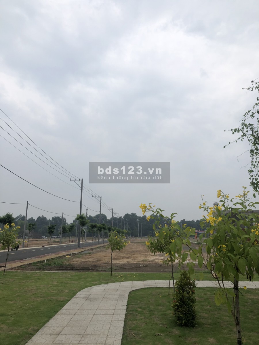 Cần bán gấp lô đất đầu tư ở Bàu Bàng