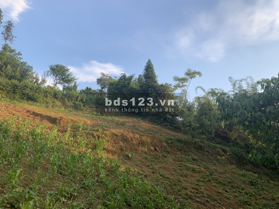 Bán đất Y Tý view siêu đẹp thoáng, giáp ranh công viên Văn hóa thôn Lao Chải cực đỉnh
