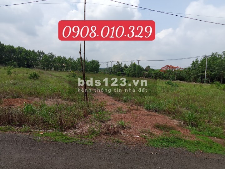 Do vỡ nợ ông chú cần bán miếng đất sổ sẵn vĩnh tân Tân Uyên Bình Dương giá 7×× triệu