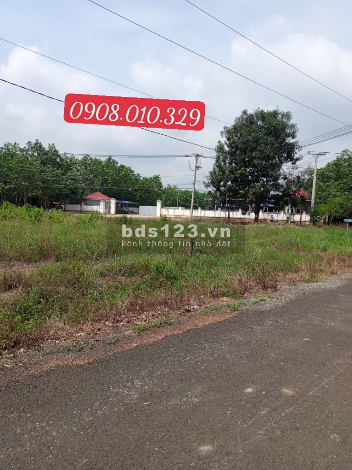 Do vỡ nợ ông chú cần bán miếng đất sổ sẵn vĩnh tân Tân Uyên Bình Dương giá 7×× triệu