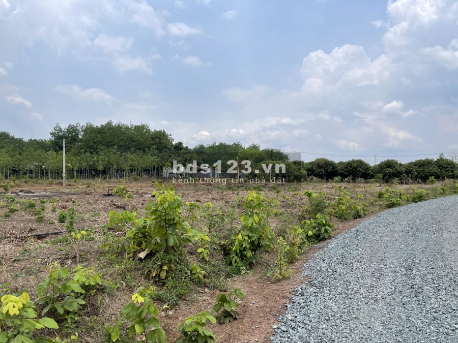 Nhà dư lô đất vườn nên bán lại giá 440tr /1000m2 Bình Long - Bình Phước