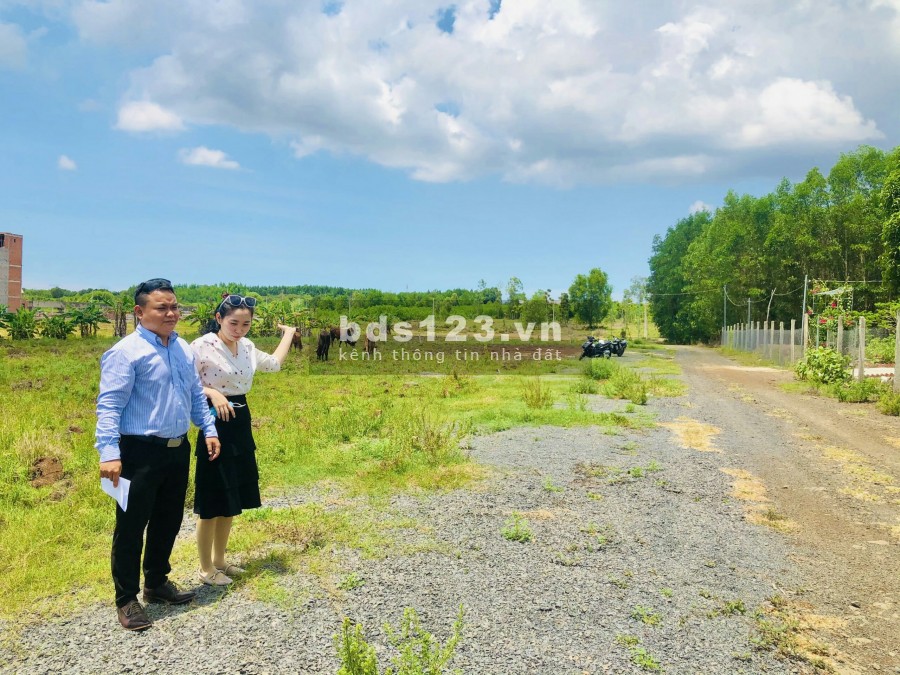 Còn sót vài lô đất Long Tân giá siêu mềm cho nhà đầu tư, sổ hồng riêng