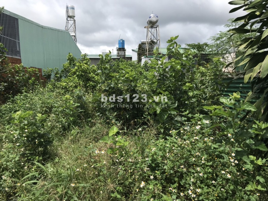 Bán Đất Lộc Tiến 7x29m cách nhà thờ Tân Hà 500m.