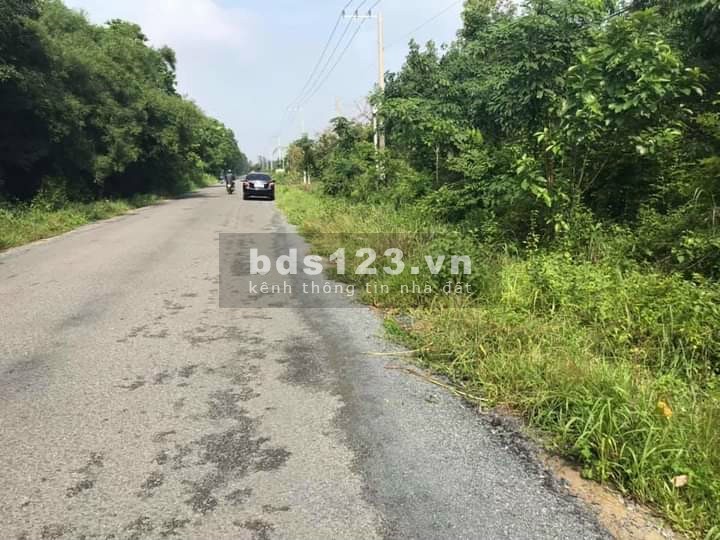 Bán đất Tân Lợi ngay DT741 vào 1km, sổ sẵn, giá rẻ