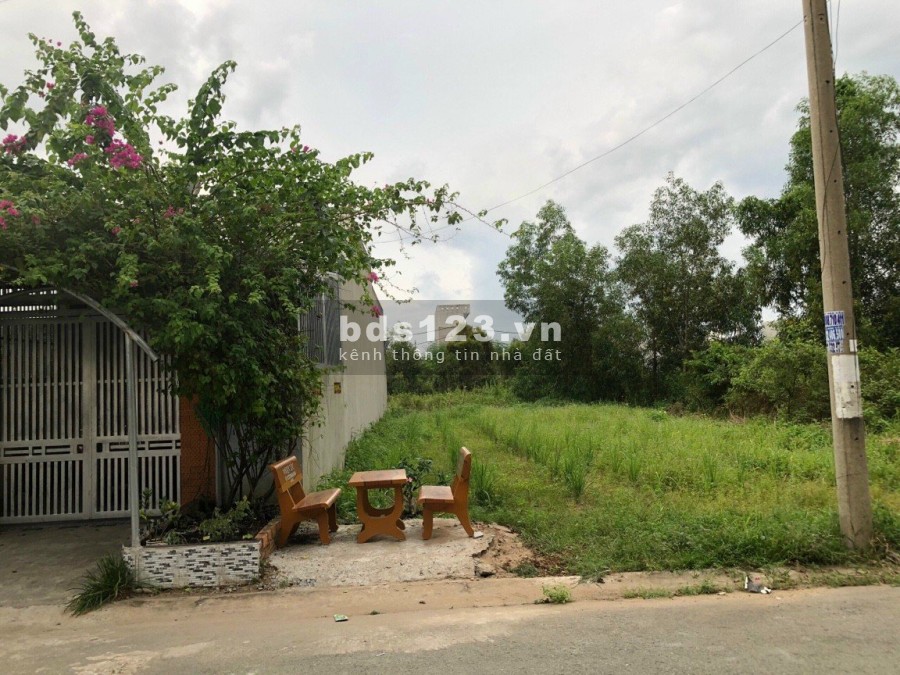 Bán gấp lô góc 125m2, thổ cư 100%, sổ hồng riêng, Bình Chánh