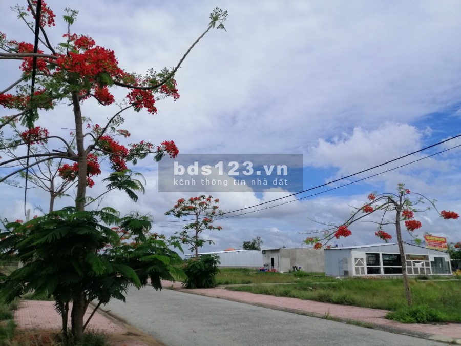 Mua Đất Tặng Căn Nhà có Ngay Cơ Hội Nhận oto xịn xò