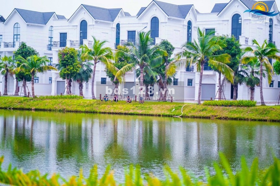 Chính chủ bán biệt thự đơn lập Ngọc Trai 306mx3T Vinhome Ocean park 0817222333