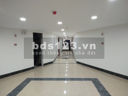 Cho thuê căn hộ giá rẻ vào ở được ngay, còn mới đẹp, giá 4.5 triệu/tháng