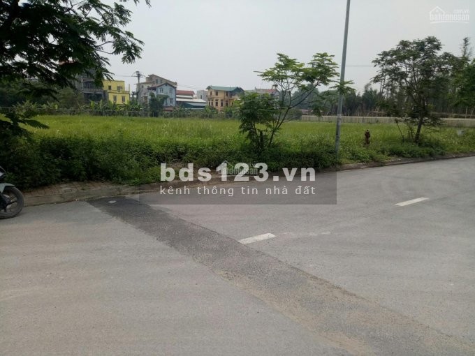 Cho thuê 2000m2 đất làng nghề Kiêu Kỵ, giá cho thuê 30 nghìn/m2/tháng