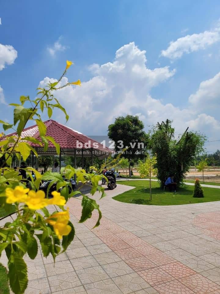 Đất Bàu Bàng ngộp giá 489tr, SHR, công chứng ngay, gần chợ